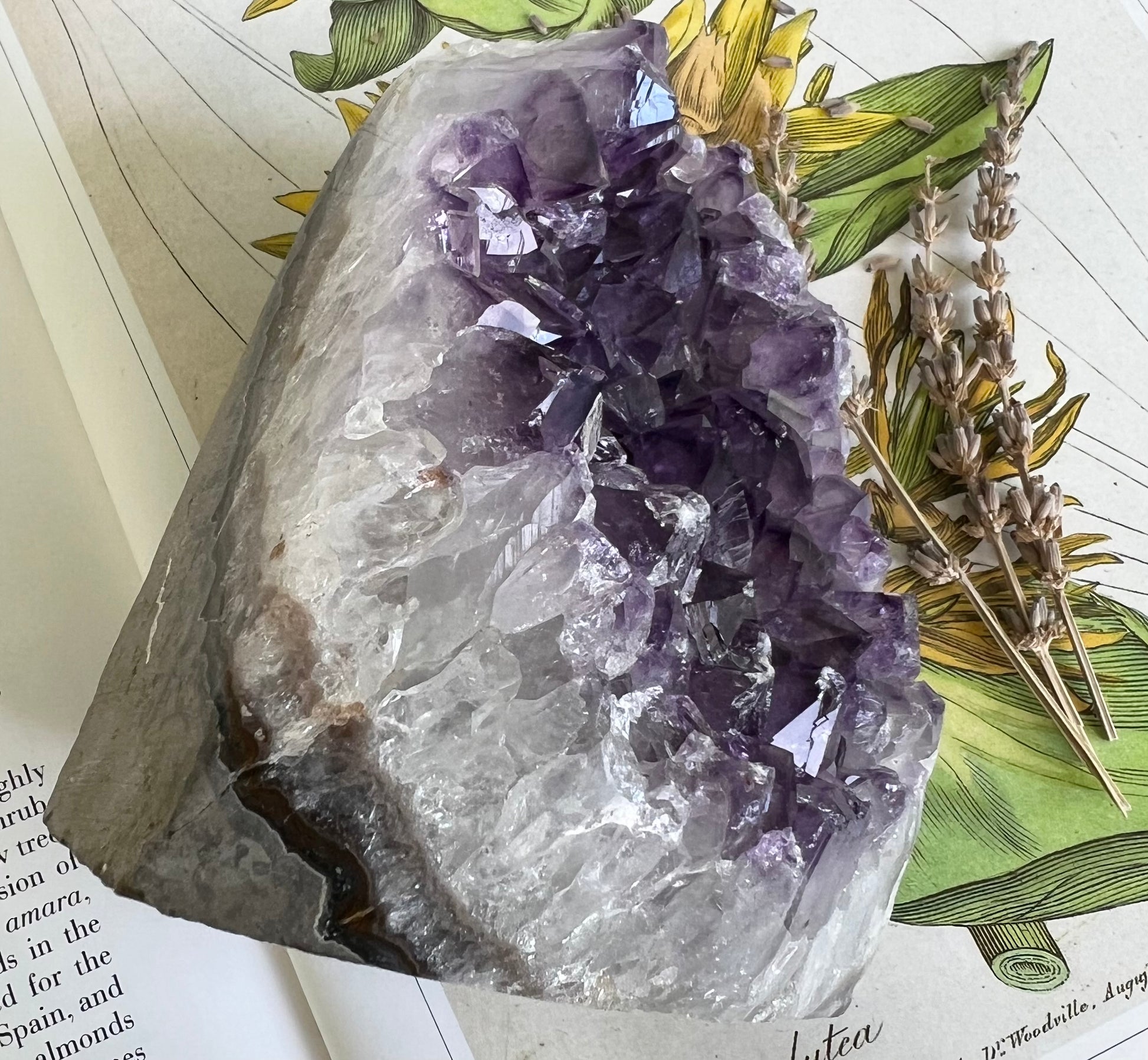 Natural Amethyst Crystal Geode Cluster