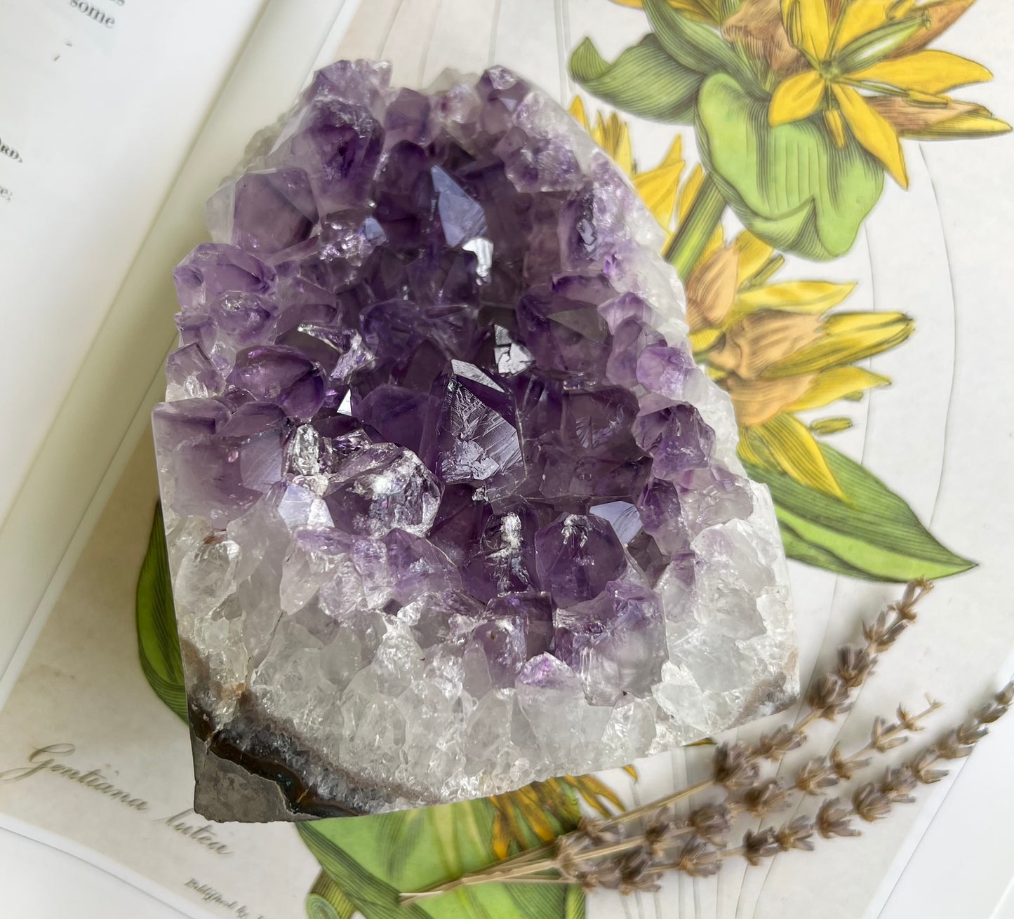 Natural Amethyst Crystal Geode Cluster