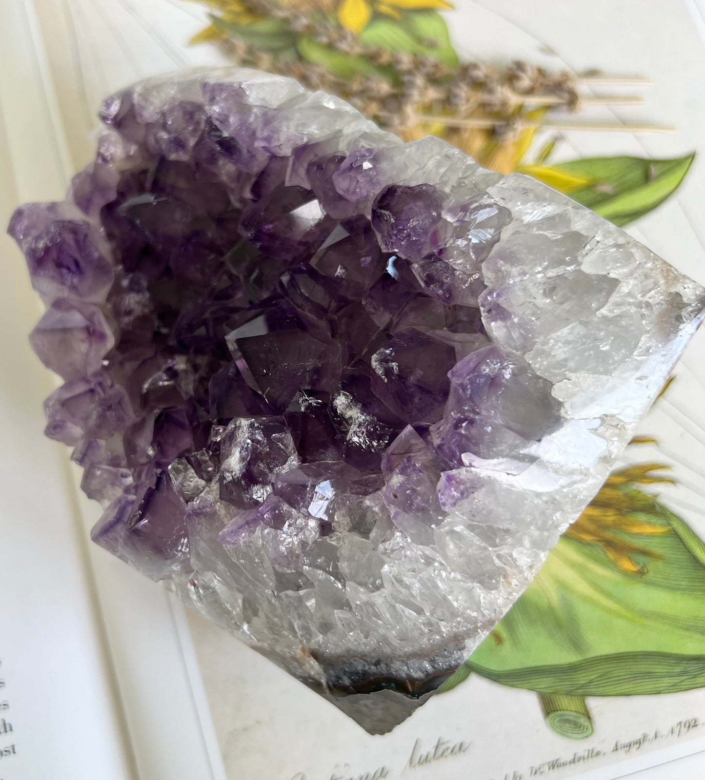 Natural Amethyst Crystal Geode Cluster