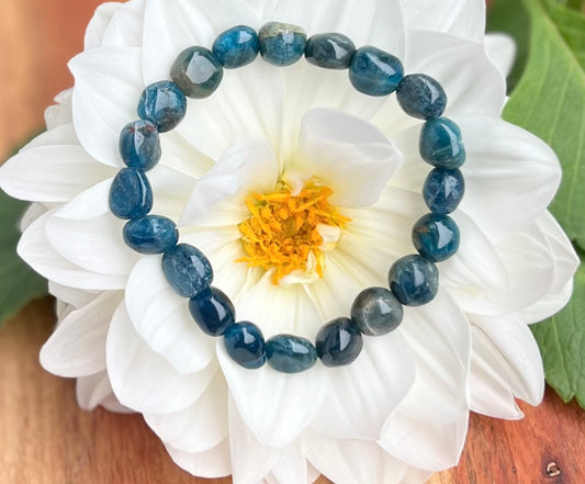 Blue Apatite Stretch Bracelet