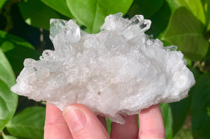 Natural Clear Quartz Crystal Cluster