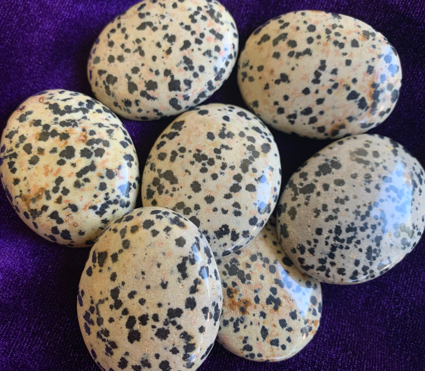 Dalmation Jasper Crystal Worry Stone