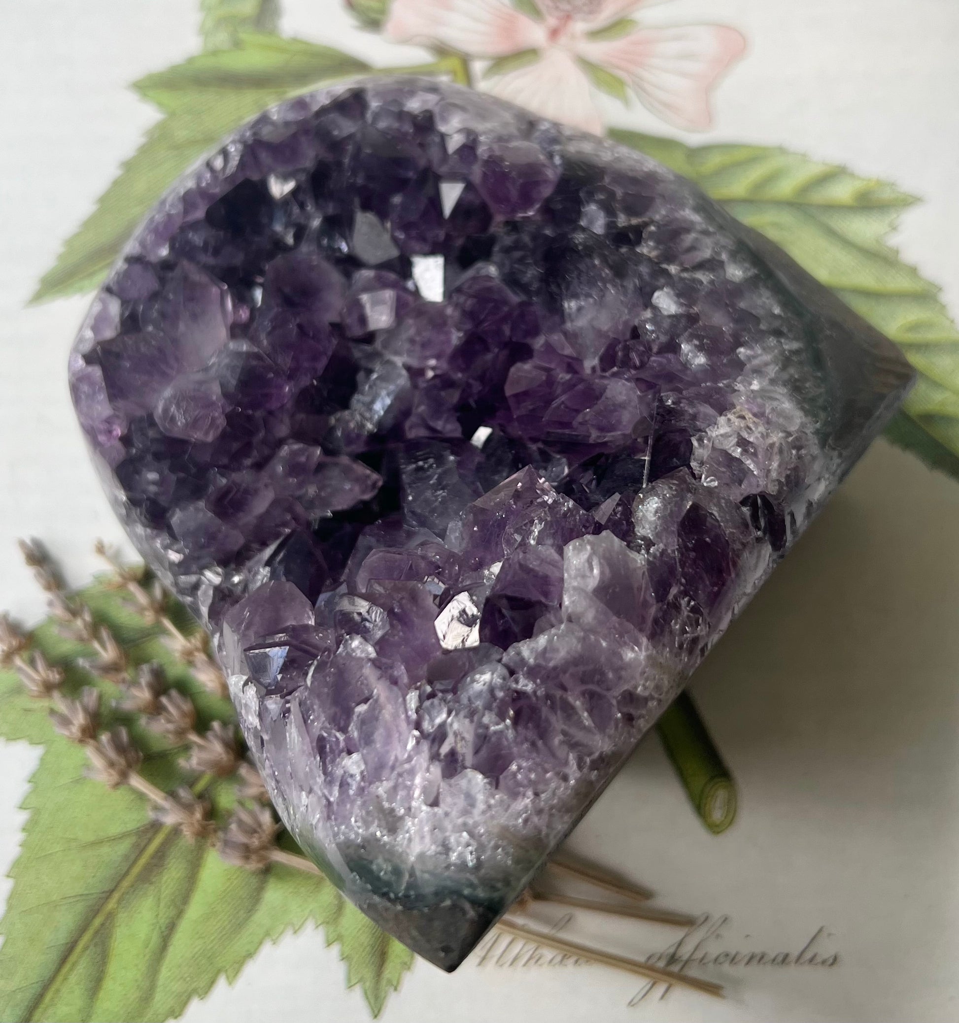 Natural Dark Purple Amethyst Geode Cluster