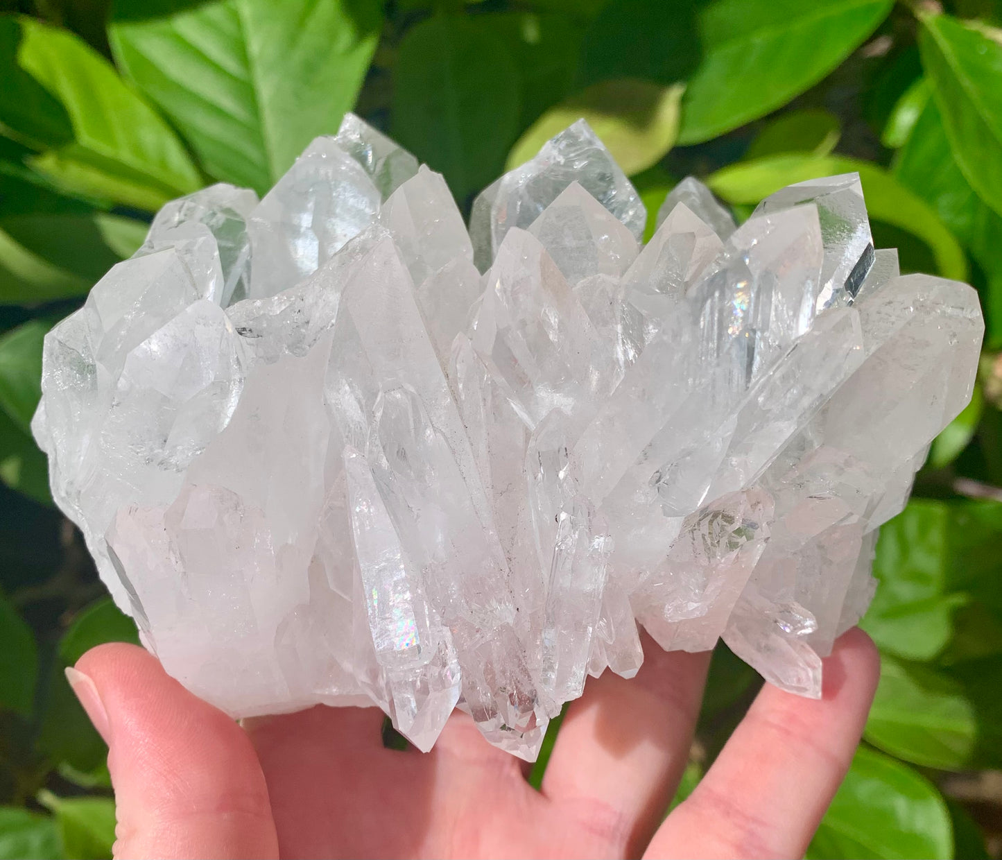 Large Clear Quartz Crystal Cluster