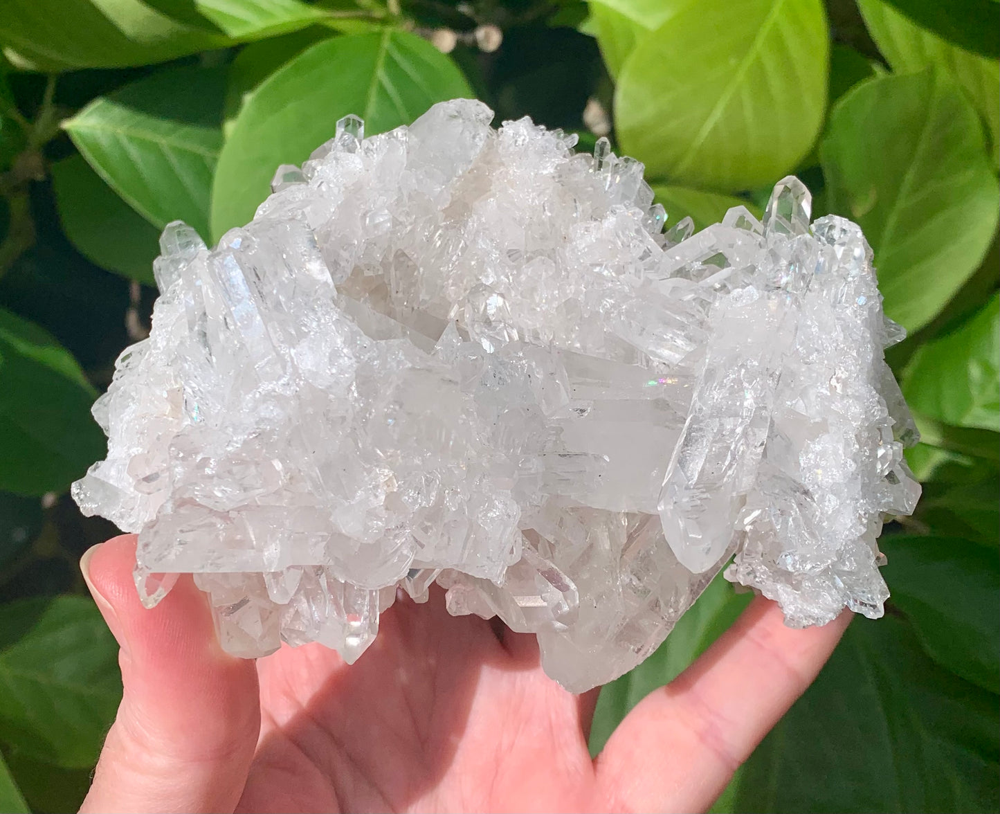 Natural Clear Quartz Crystal Cluster