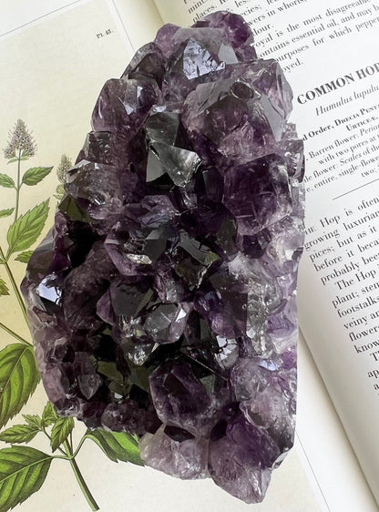 Premium Quality Natural Amethyst Crystal Cluster Geode