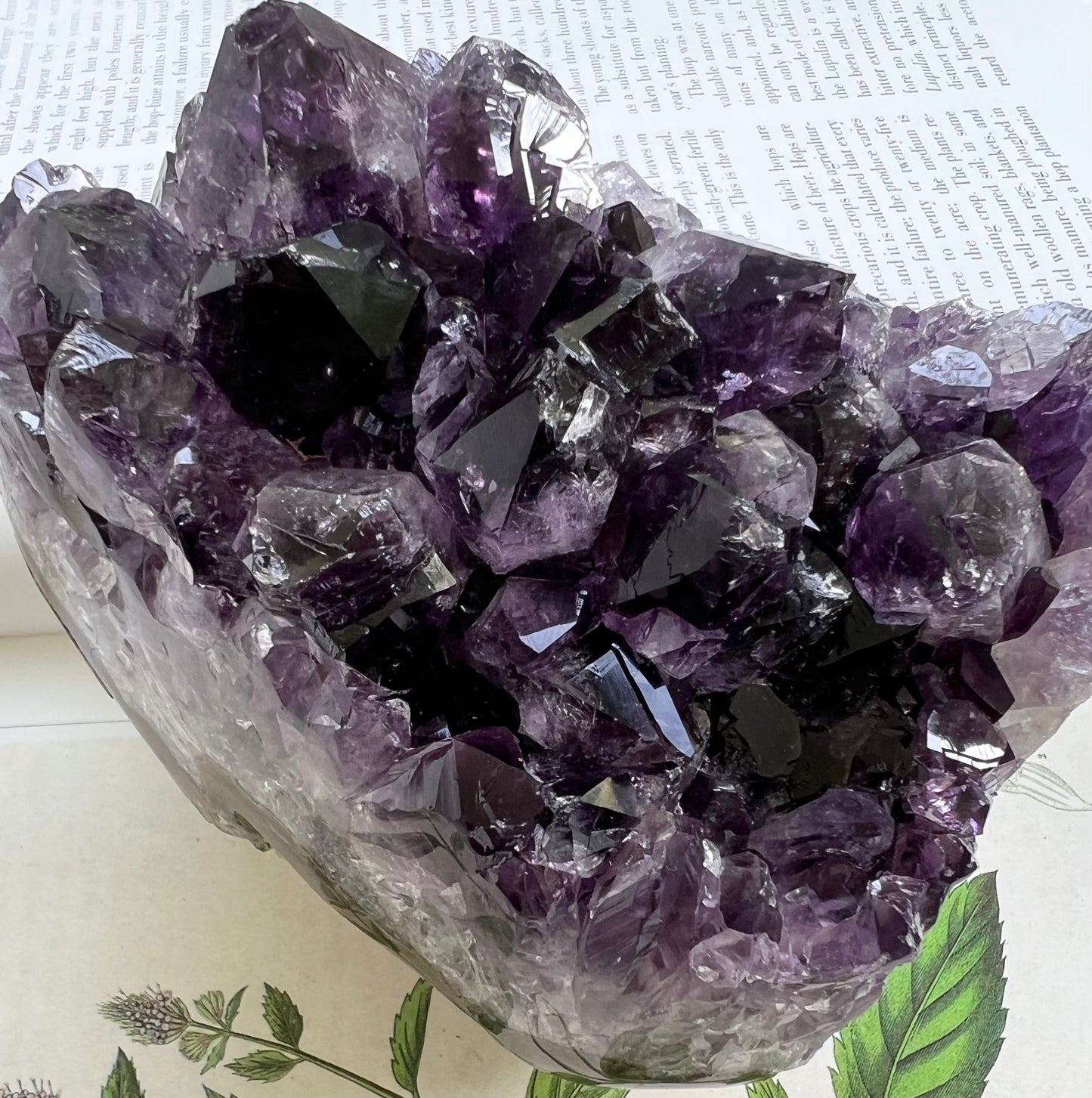 Premium Quality Natural Amethyst Crystal Cluster Geode