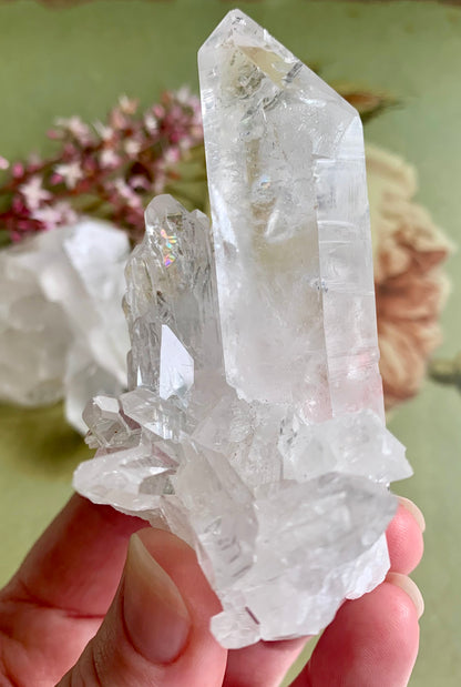 Small Clear Quartz Crystal Cluster