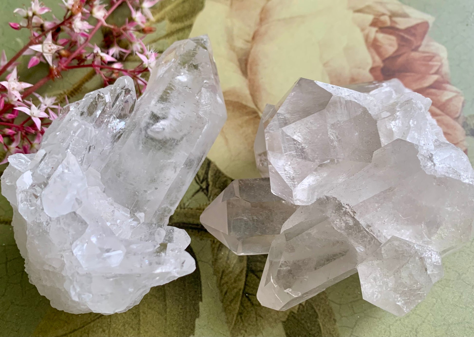 Small Clear Quartz Crystal Cluster