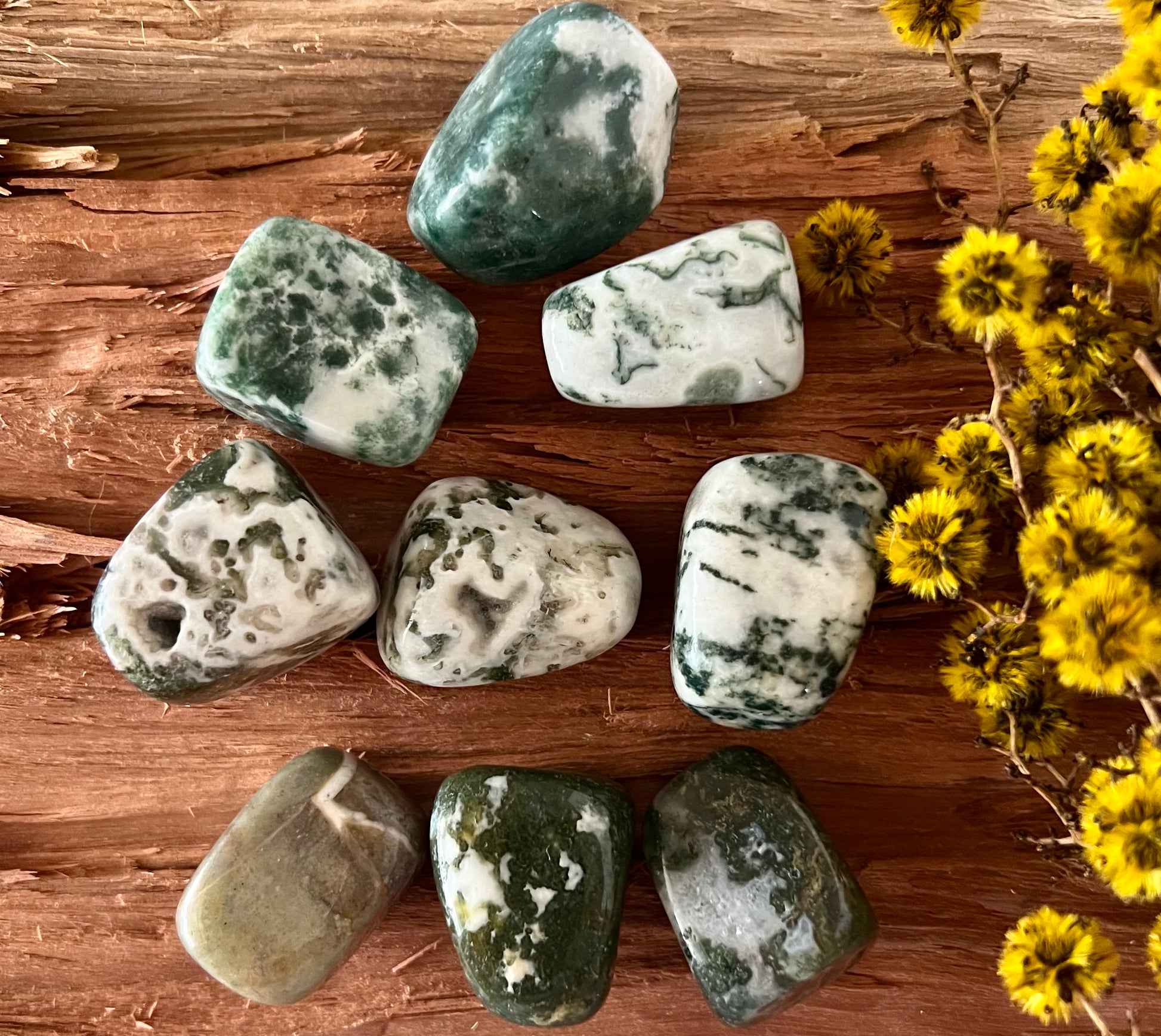 Tree Agate Crystal Polished Tumble